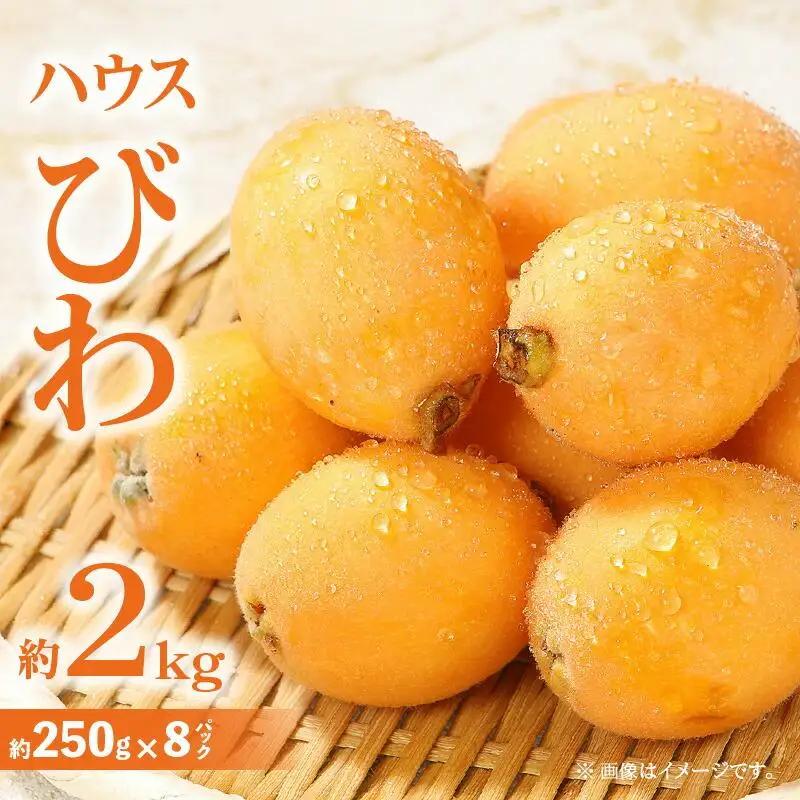ハウスびわ 約2kg【2026年4月中旬～2026年5月上旬配送】| びわ