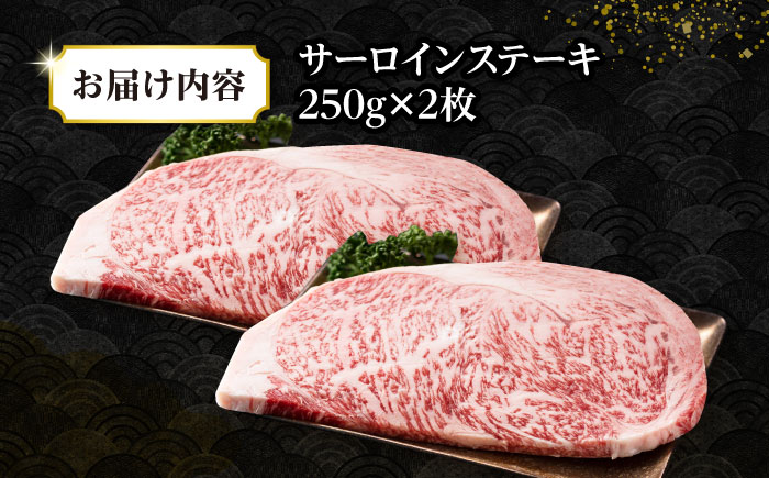 【A4～A5ランク】長崎和牛 サーロインステーキ 500g（250g×2枚）《壱岐市》【株式会社MEAT PLUS】 肉 牛肉 黒毛和牛 ステーキ ご褒美 冷凍配送 A4 A5 [JGH024]