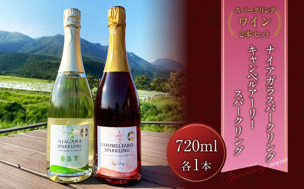 
久住ワイナリーのスパークリングワイン 2本セット 720ml×2本 ワイン お酒 アルコール 赤ワイン 白ワイン
