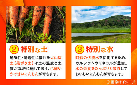 【4月中旬より順次発送予定】【数量限定】菊陽町の春にんじん 約10kg【有限会社さんふれあ】[BHAK004]