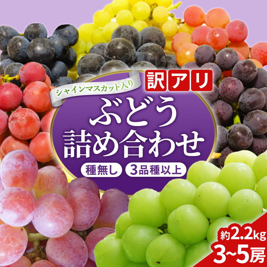 ＼訳あり ご家庭用／大粒ぶどう（種なし）詰合せ 合計 3～5房入 ブドウ 葡萄 フルーツ 果物 旬 わけあり 先行予約 食べ比べ (DM004)