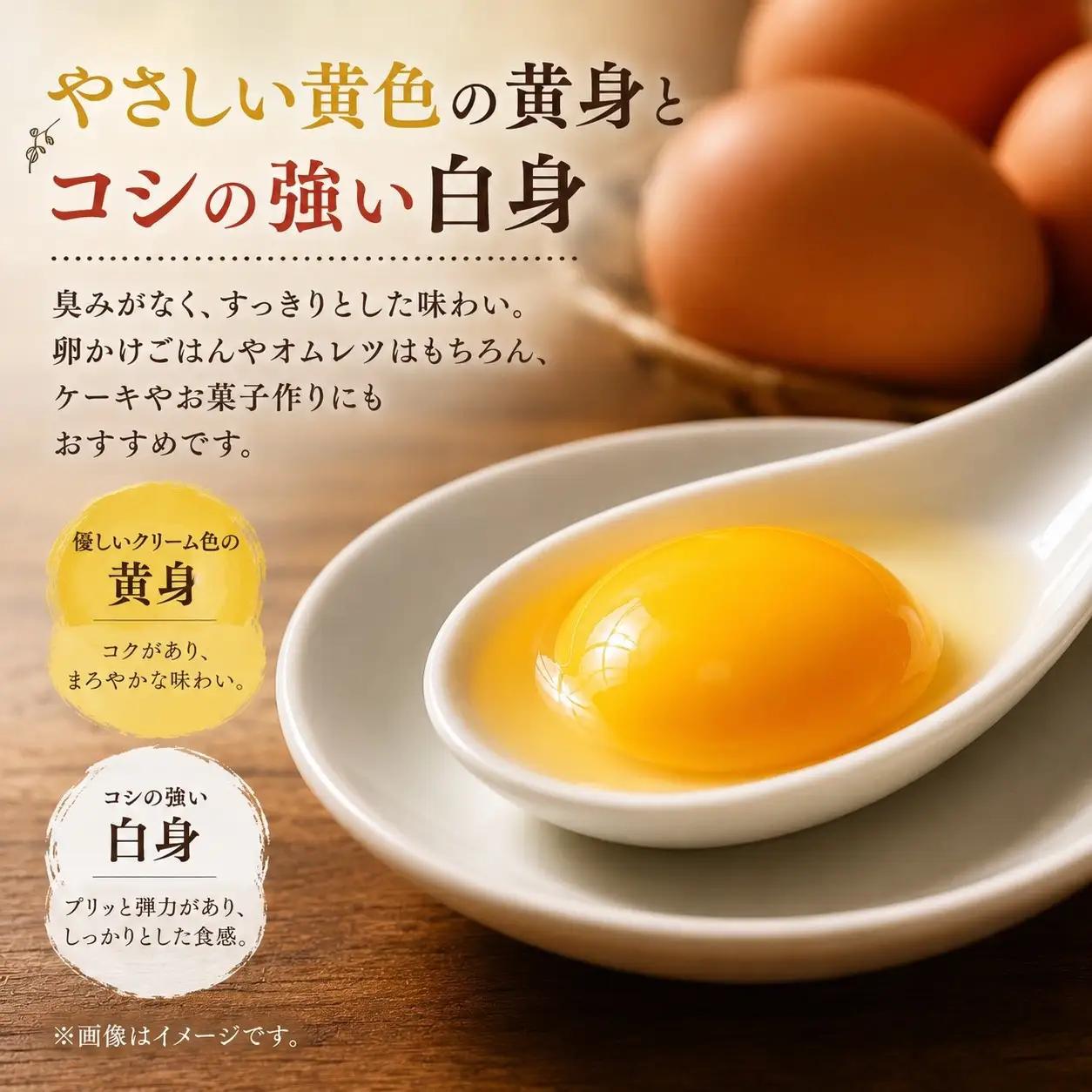 ポロニ養鶏場　標茶町産有精卵10個×3パック　|  卵