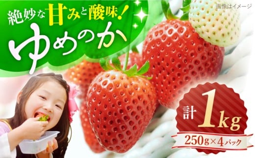 いちご 【先行予約】 ゆめのか いちご 計1kg （250g×4パック） いちご 苺 イチゴ 果物 フルーツ いちご 甘い ichigo strawberry イチゴ 生いちご 長崎県 西海市 ichigo 9000円 9千円 10000円 1万円 ＜川原農園＞ [CDR009] お取り寄せいちご ゆめのか 甘い 赤い イチゴ 産地直送 こだわりいちご フレッシュ 贈答 くだもの 旬 新鮮 いちご