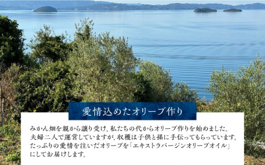 【贈答】エキストラバージンオリーブオイル 120g  長与町/喜虎園オリーブ園 [ECJ001] 国産 オリーブオイル おりーぶおいる オリーブ油 エキストラバージン えきすとらばーじんおりーぶおいる 新鮮 手摘み 料理 サラダ 贈答 ギフト