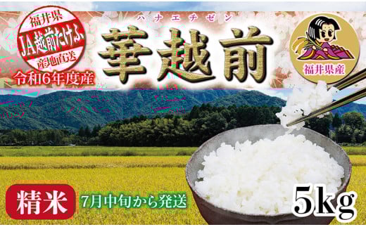 令和６年度産「華越前(ハナエチゼン)」 ５㎏　【７月中旬頃お届け】
