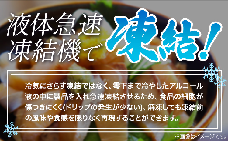 紀州湯浅醤油を使ったサーモンとカンパチの漬け＆釜揚げしらすの海鮮丼3種600g魚鶴商店《30日以内に出荷予定(土日祝除く)》さしみ---wsh_fuot31_30d_24_18000_600g---