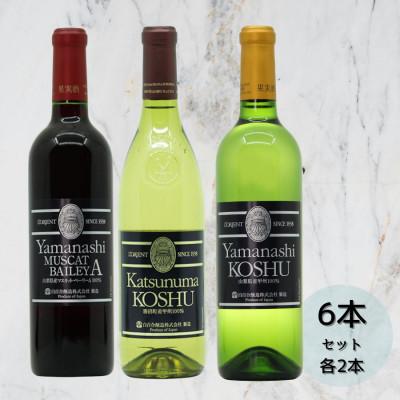 ふるさと納税 甲州市 ロリアン 勝沼甲州・山梨甲州・山梨マスカットベーリーA 各2本 6本セット　H-669