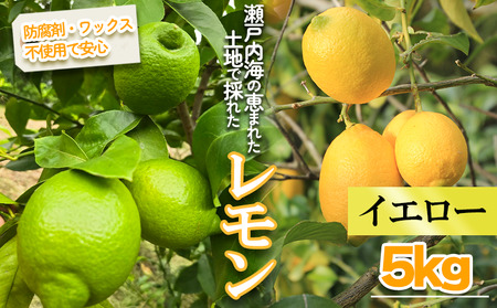 【2026年1月より順次発送】イエローレモン　約5kg ｜果物 くだもの フルーツ レモン れもん 檸檬 柑橘 防腐剤不使用 ワックス不使用 イエローレモン いえろーれもん 国産 愛媛県産 国産レモン【MSD003_y】