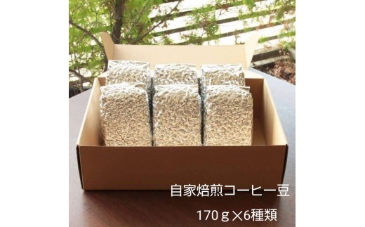 
                  【豆の挽き方選択】お家でカフェ♪アメリカンスペシャリティ認定豆170ｇ×6袋
                