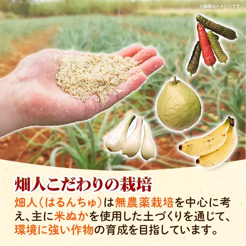 畑人のアップルバナナ 約2kg - バナナ ばなな 小ぶり もっちり とろける 甘さ 追熟 沖縄県 産地直送 果物 フルーツ 南国 朝食 おすすめ 沖縄県 八重瀬町