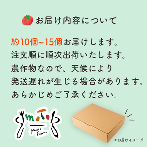 moto farm トマト 2kg  甘みと酸味の絶妙なバランスの麗月トマト 赤採れ  | トマト とまと 野菜 産地直送 数量限定 完熟 赤採れ とまと2kg 愛媛 松山 【MTF004】