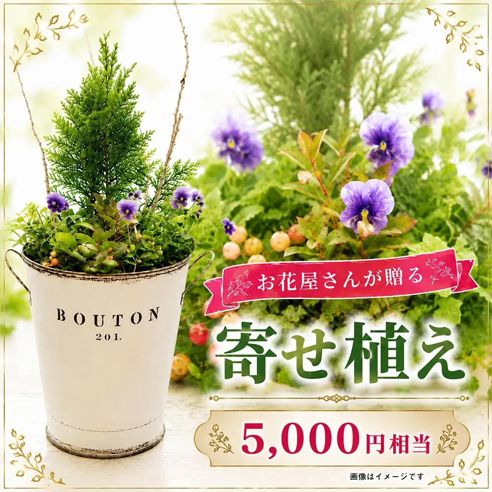 オリジナル 寄せ植え 5000円相当｜母の日 誕生日 花ギフト 「百花-MoKa-」