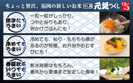 福岡県産米　無添加「元気つくし」パックご飯　200ｇ×24パック[H2308a]