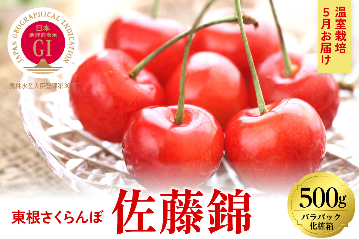 
            2025年【5月お届け】GI東根さくらんぼ 佐藤錦 特秀品 Lサイズ500g(バラパック入れ） 山形県 東根市　hi027-160-1
          