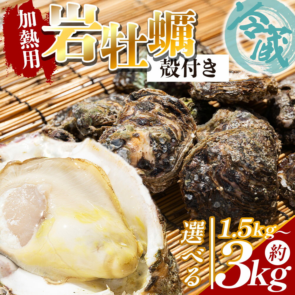 【ふるさと納税】【選べる】岩ガキ(殻付き) 冷蔵 加熱用 （選べる内容量：約 1.5kg/2kg/3kg） - 選べる 数量 国産 カキ かき 牡蠣 魚介 海鮮 貝類 殻つき 天然 産地直送 肉厚 フライ 焼き牡蠣 海の幸 えび蔵 高知県 香南市 【冷蔵】