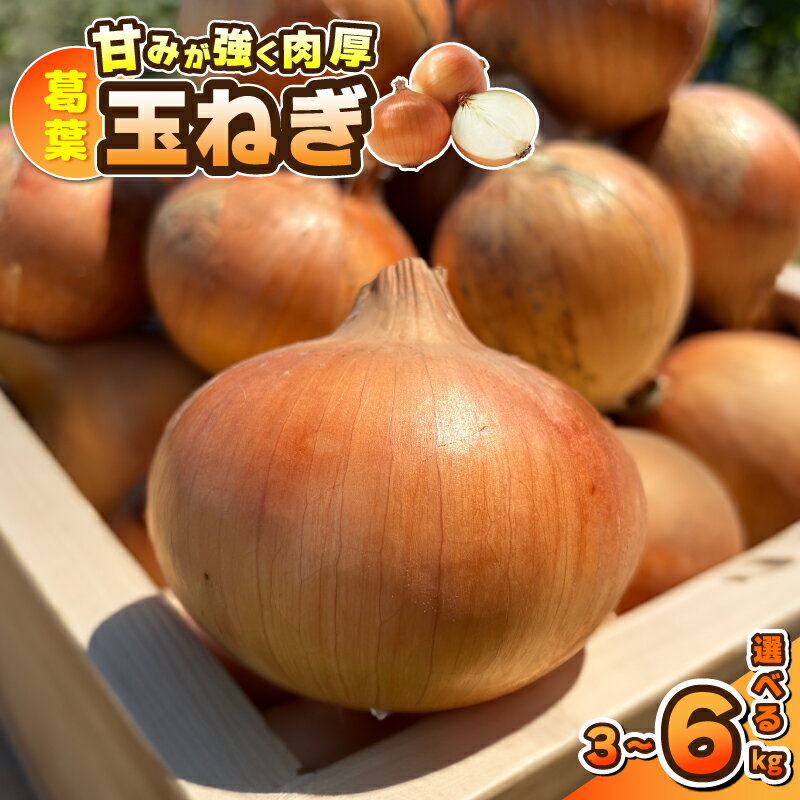 【ふるさと納税】葛葉玉ねぎ 選べる 内容量 3kg / 6kg 玉ねぎ 野菜 産地直送 国産 泉州野菜 ジューシー 甘い みずみずしい とろける食感 新鮮 鮮度抜群 肉厚 カレー 肉じゃが サラダ スープ 生姜焼き 炒め物 オニオンリング お取り寄せ 大阪府 泉佐野市 送料無料