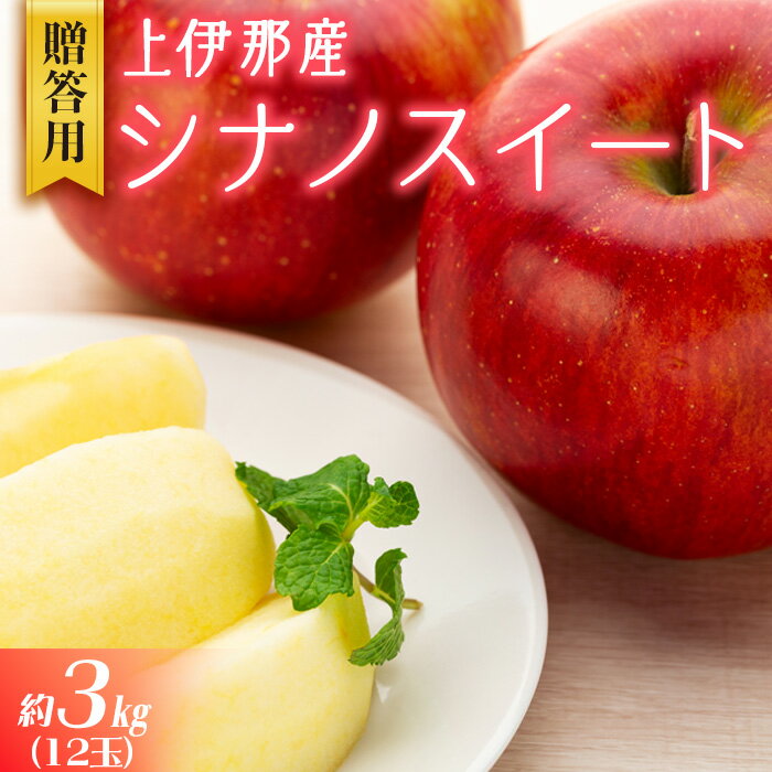 【ふるさと納税】贈答用りんご 上伊那産 シナノスイート 約3kg 12玉 りんご リンゴ 林檎 信州りんご 信濃スイート 果物 くだもの フルーツ 旬の果物 旬のフルーツ デザート 贈答用 ギフト 贈り物 プレゼント 長野 長野県 箕輪町　お届け：2026年10月中旬～11月末頃