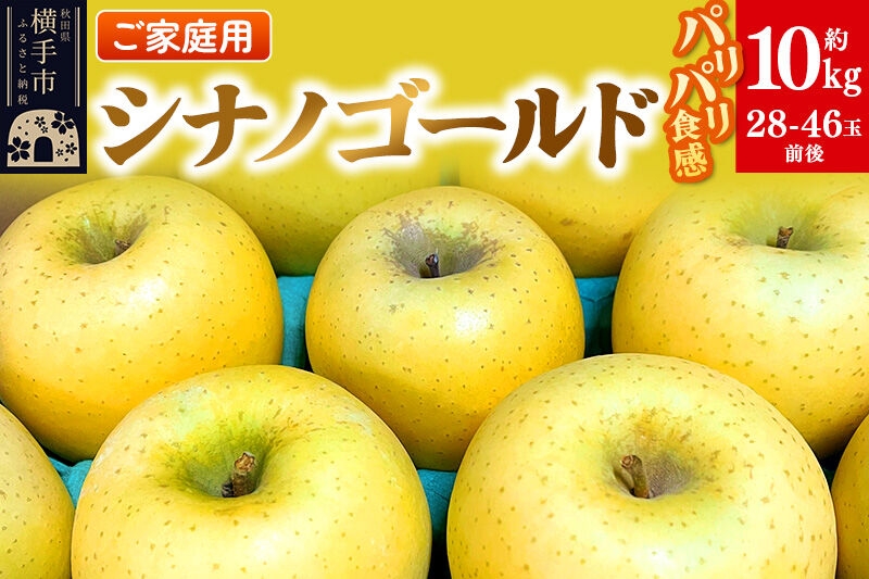 
                  【先行受付】1月中旬より発送 パリパリ食感シナノゴールド ご家庭用 約10kg（28～46玉前後） [先行予約 しなのごーるど 林檎 りんご リンゴ 家庭用 不揃い おまかせ 【りんご】特集]
                