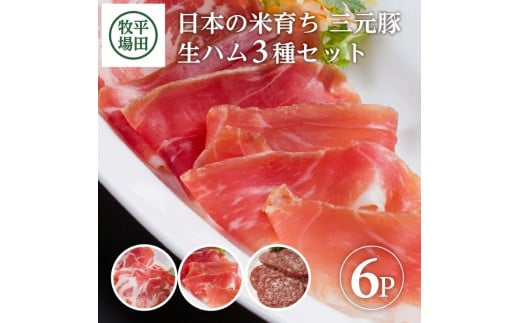 三元豚 生ハム 3種セット 6パック 計260g 豚肉 生ハムコッパ ジャーマンサラミ ブランド豚 銘柄豚 ハム サラミ 豚 肉 おつまみ ワイン モモ肉 肩ロース 小分け 冷蔵 おすすめ ギフト 贈り物 贈答 平田牧場 山形 酒田 SA1336