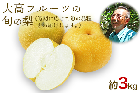 大高フルーツの旬の梨(幸水/豊水/秋麗/あきづき/甘太/新高)★約3kg(5-12玉前後) 予約受付中 フルーツ 秋 旬★熊本県玉名郡玉東町 《7月下旬-10月中旬頃出荷》｜ブランド梨 人気梨 特産品梨 熊本県梨 玉東町梨 大人気返礼品 