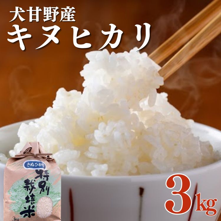 【ふるさと納税】令和7年産 キヌヒカリ 米 3kg 特別栽培米 京都 丹波 亀岡 犬甘野産 白米 産地直送 人気 お米 コメ こめ きぬひかり 減農薬 送料無料