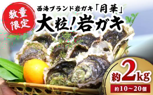 【日時指定】【数量限定】牡蠣 岩ガキ 約 2kg （約10個～20個）便利なナイフ・軍手付き♪  ＜ハマフジ水産＞ [CES001]牡蠣 カキ かき 生牡蠣 岩牡蠣 ナイフ付き 殻付き牡蠣 かき カキ