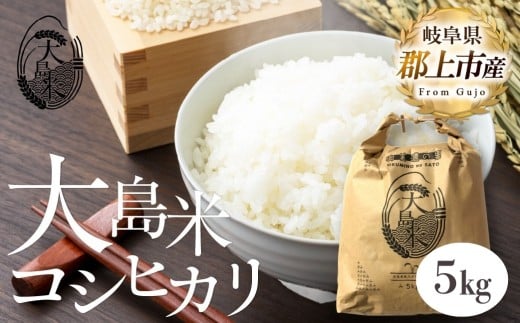 「精米」大島米5㎏　令和7年産 食品  米 雑穀  白米 15000円 G0080a