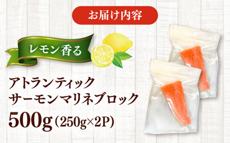 レモン香るアトランティックサーモンマリネブロック 500g(250g×2)　桂川町/宅配弁当　輪[ADCC001]