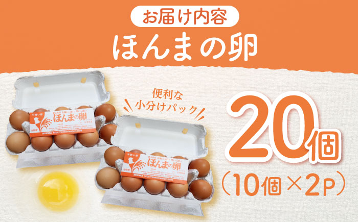 平飼いニワトリの有精卵！ほんまの卵 20個（10個×2パック） / たまご 卵 平飼い / 佐賀県 / 本間農園 [41AJAA001]