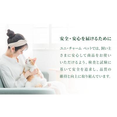 ふるさと納税 伊丹市 ねこ元気 15歳頃から まぐろ・かつお・白身魚入り 1.6kg×6袋[54030477] |  | 01