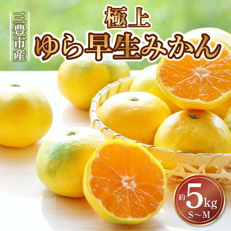 【10月中旬より発送】三豊市産 極上【ゆら早生みかん 約5kg】S～Mサイズ
