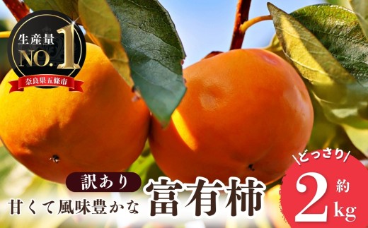【 堀うち農園 】どっさり 約 2kg 訳あり 富有柿  | フルーツ くだもの 果物 柿 かき デザート 人気 国産 産地直送 カキ 果実 11月 順次発送 秋 旬 味覚 グルメ お取り寄せ 大容量 農家直送 ビタミン タンニン 食物繊維 豊富 美容 健康 特産品 甘い 多汁 甘柿 株式会社堀内果実園 柔らかい こだわり わけあり 訳アリ 自宅用 家庭用 ご自宅用 奈良県 五條市