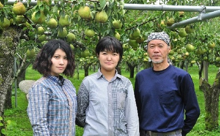 西洋梨（ラ・フランス）６ｋｇ（３ｋｇ×２箱）　ご家庭用　0047-2512