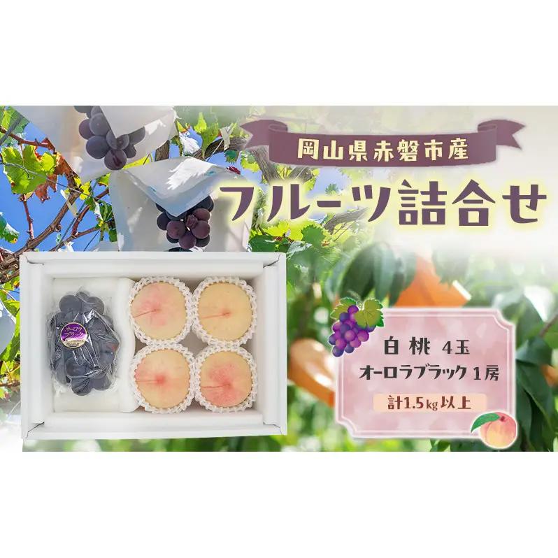 桃 ぶどう 数量限定 岡山 白桃 4玉 オーロラブラック 1房 詰合せ 計1.5kg以上 桃 ぶどう