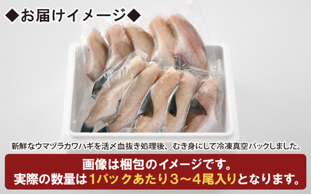 ウマヅラカワハギのむき身 4～6尾入り【A-5827】