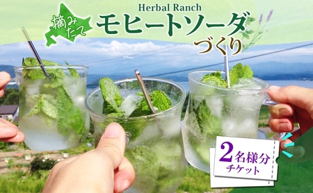 モヒートソーダ作り体験 ノンアル ハーバルランチ モヒートソーダ作り体験【2枚】