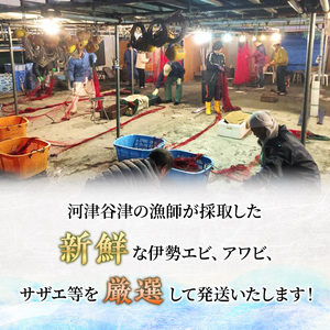 伊勢海老 アワビ サザエ 定期便 年6回 海からのお届け物 ワカメ ひじき はんばのり 干物 伊勢エビ さざえ あわび わかめ 海苔 のり 天草 煮魚 惣菜 えび 鮑 貝 魚 魚介 魚介類 海鮮 海鮮