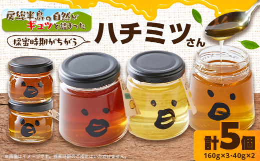 いすみ市の『ハチミツさん』160g×3個、40gx2個セット【1391524】