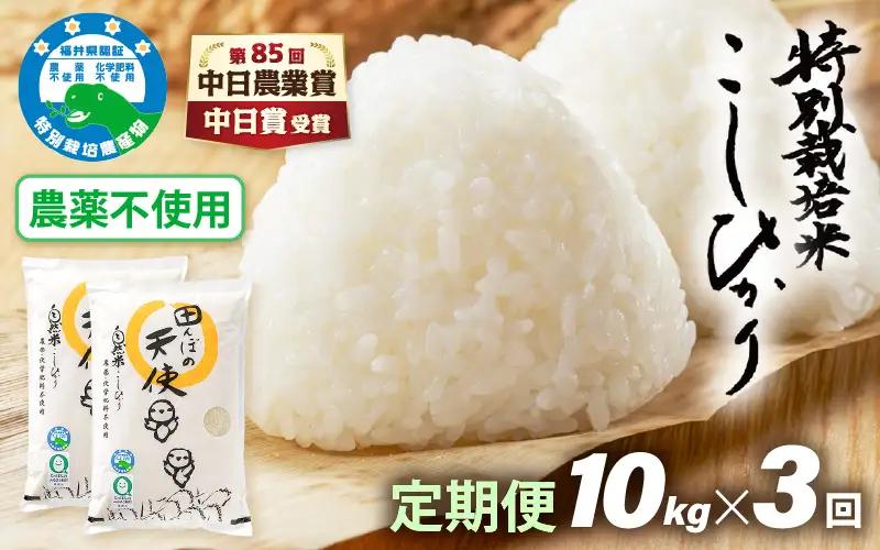 【中日賞受賞】《3ヶ月定期便》農薬不使用 特別栽培米コシヒカリ【精米】10kg×3ヶ月 計30kg 福井県認証区分1取得「田んぼの天使」越前町【5キロ 】 [e10-k002]