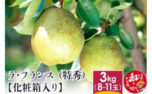 ラ・フランス （特秀） 3kg 【化粧箱入り】 山形県産 フルーツ 果物 【2025年11月上旬-12月上旬発送予定】