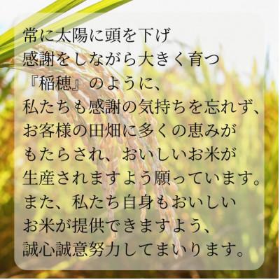 ふるさと納税 かすみがうら市 【毎月定期便】極上ふるさと米　精米5kg全3回 |  | 03