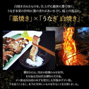 四万十うなぎ藁焼き 白焼き・蒲焼き 各3尾セット【140g x 6本】／Esu-109