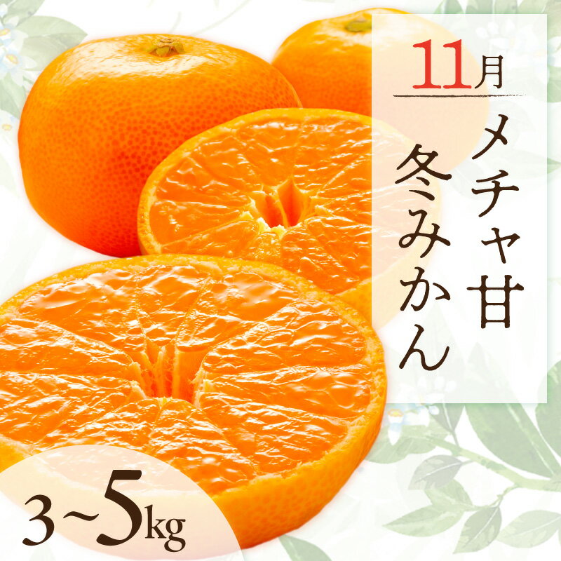 【ふるさと納税】11月の御浜柑橘 メチャ甘冬みかん 3～5kg │ 早生 マルチ栽培 光センサー選果 国産 柑橘 フルーツ 果物 秋 冬 旬 食品 産地直送 期間限定