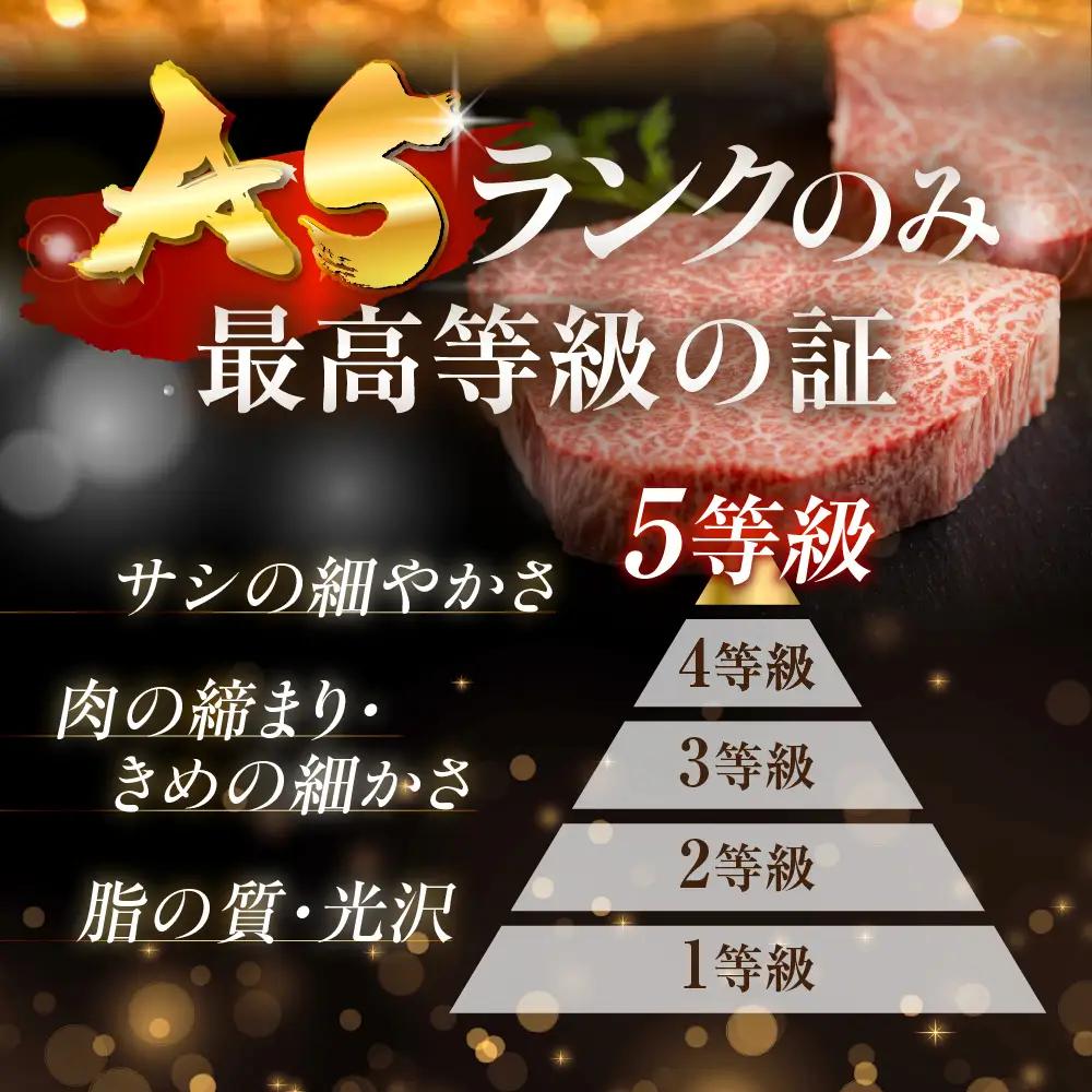 飛騨牛 A5 シャトーブリアン 2枚 280g | シャトーブリアン