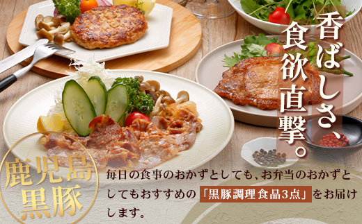 鹿児島県産 黒豚バラエティ詰合せ Bセット（ロース味噌漬け・生姜焼き・ハンバーグ）味付き 冷凍  NS-11 | ★☆＼＼黒豚ロース味噌漬け バナナマンの早起きせっかくグルメで紹介！！／／☆★ 加工肉