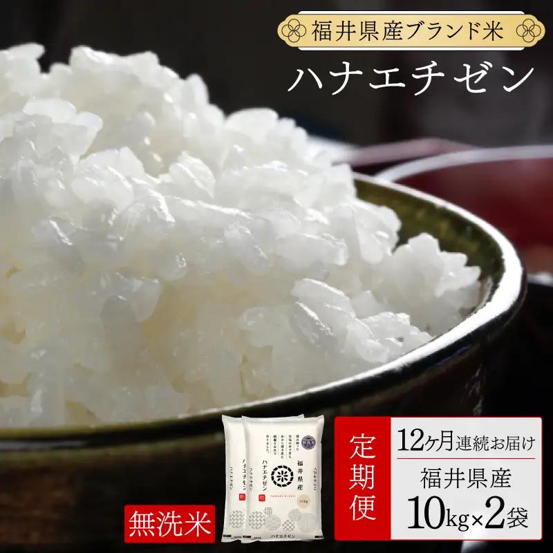 【定期便12回】福井県産 ハナエチゼン 無洗米 20kg（10kg×2）＜令和8年産＞[095-t12-a628]