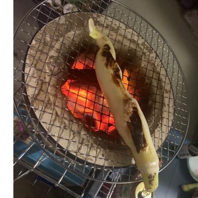 ふるさと納税 塩尻市 栽培期間中農薬不使用・化学肥料不使用のマコモダケ1kg |  | 01