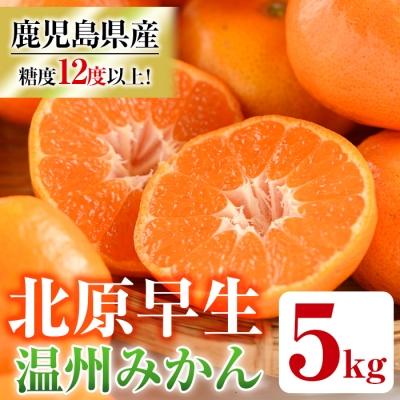 ふるさと納税 いちき串木野市 【11月中旬頃〜発送】JAさつま日置産　北原早生(温州みかん)　合計約5kg
