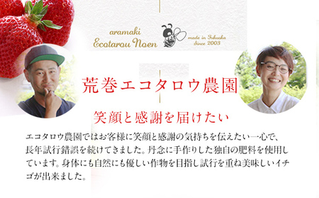 荒巻エコタロウ農園のちょっと小ぶりなたっぷりあまおう1,480g（約370g×4パック) 　中玉～小玉サイズ サイズ不揃い 【2026年2月~4月】BJ02