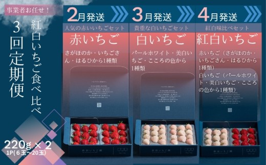 【先行受付！2027年2月から発送開始】事業者お任せ！紅白いちご食べ比べ定期便　全3回（2月〜4月）：B400-025